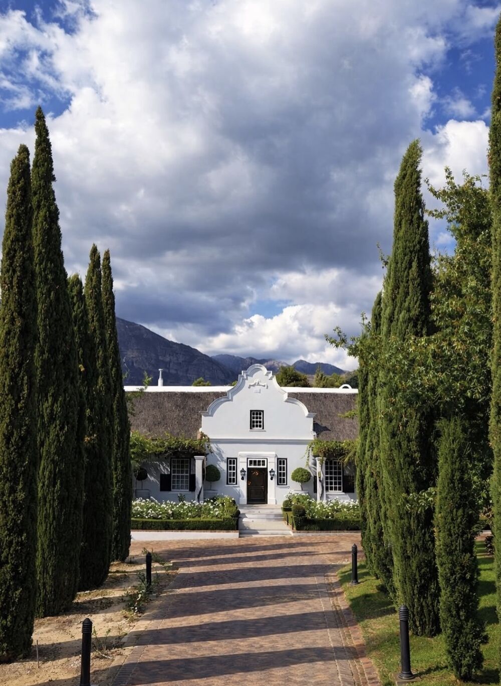 Cape Dutch manor house framed by cypress trees